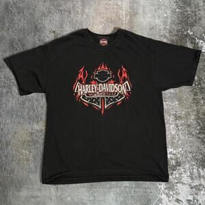 Y2K Black & Red Harley Davidson Flames T Shirt. Erie PA Size Large
